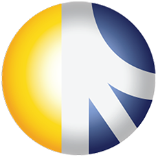 Logo PT David Roy Indonesia